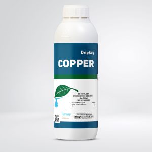 Copper