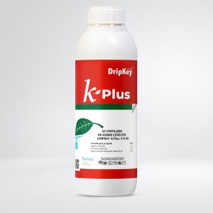 k-plus