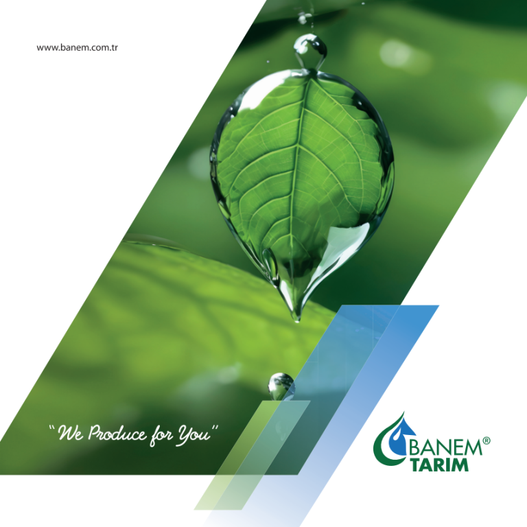 Banem Catalog English