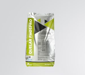 Qualer Phospro