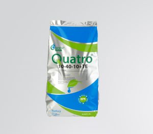 Quatro