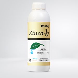 Zinco-b